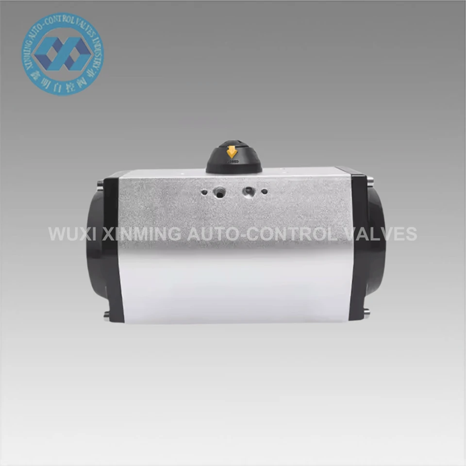 Black Silver Pneumatic Atuator