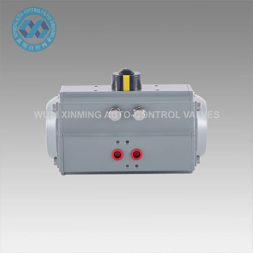 Versatile Pneumatic Actuators For Diverse Automation Needs